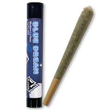 Photograph of product: Glacier Blue Dream Preroll