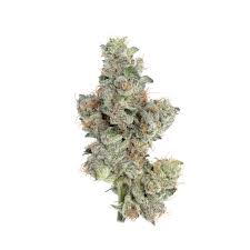 Photograph of product: Happy Valley | Kut Throat Kandy | Flower - 3.5g
