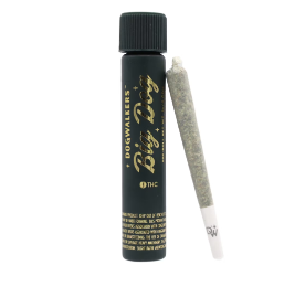 Photograph of product: Dogwalkers: Durban Z (Play) | Pre-Roll