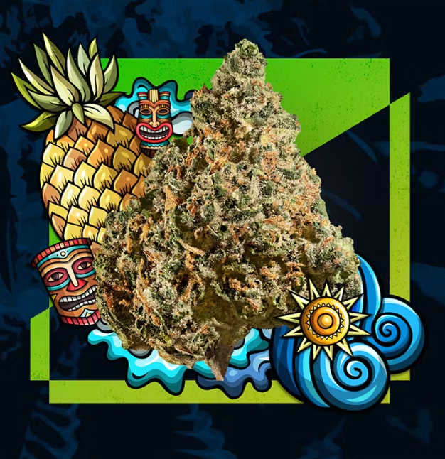 Photograph of product: Cresco | Flower | Pineapple Express - 3.5g