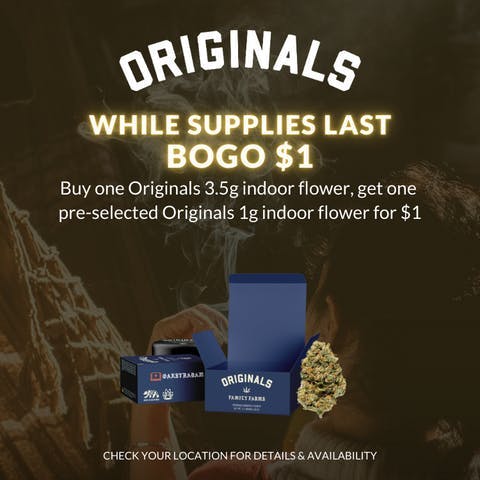 Photograph of product: Originals - ASHE X ORIGINALS -PAY LESS MORE Oui'd