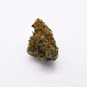 Photograph of product: Wicked Lime | Premium Buds - 28g