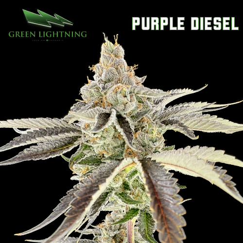 Photograph of product: Purple Diesel - 3.5g