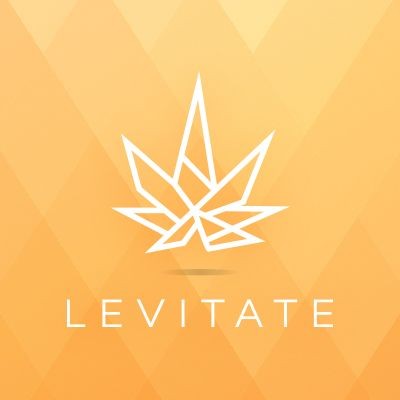 Logo for img-fluid: Levitate