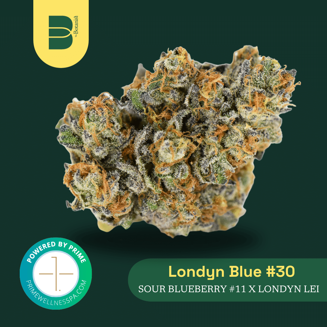 Photograph of product: The Botanist | Londyn Blue | Flower - 14g