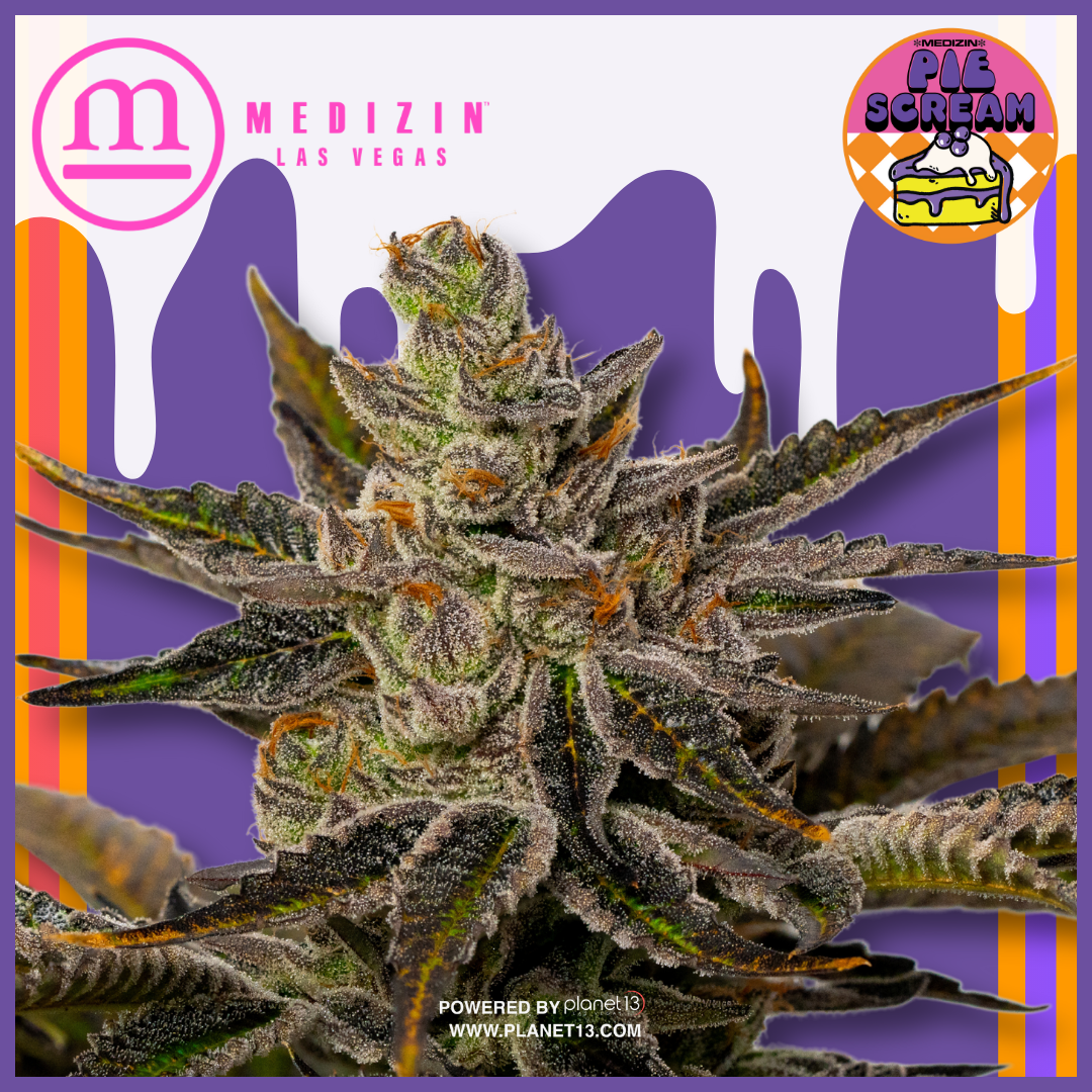 Photograph of product: Piescream 3.5g Prepack