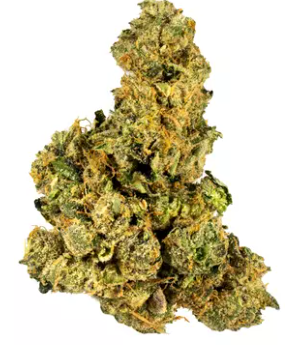 Photograph of product: GLP | Hazmat OG 3.5g
