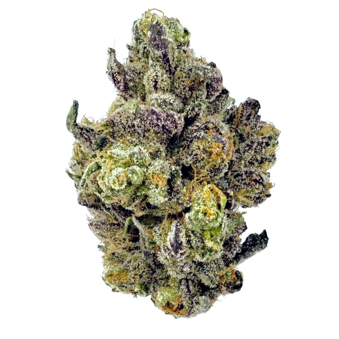 Photograph of product: RANDY WATZON #13 3.5G