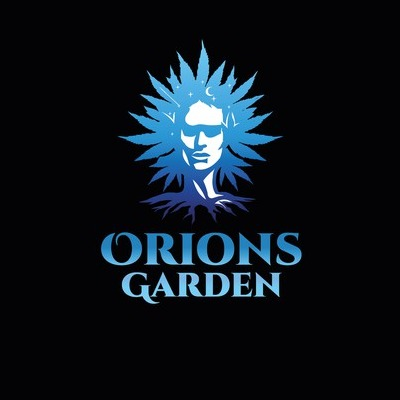 Photograph of product: Ice Cream Cake By Orion's Garden - 28g