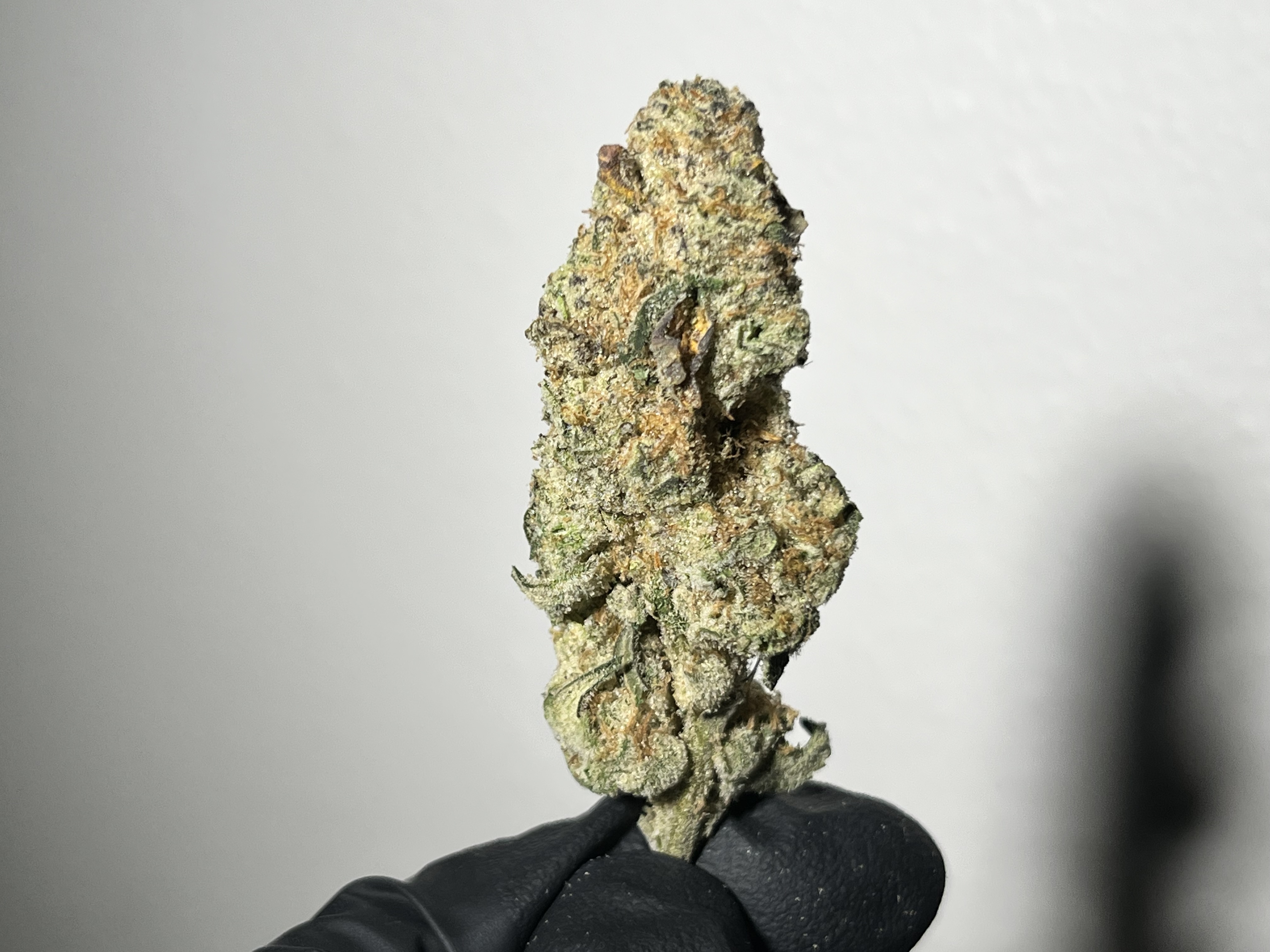 Photograph of product: Pure Bliss Farms - Tahoe OG - Flower - Bulk - 28g
