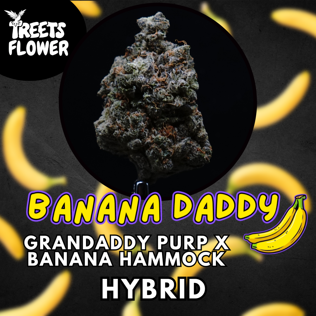 Photograph of product: Flower - Banana Daddy - Top Shelf - 28g