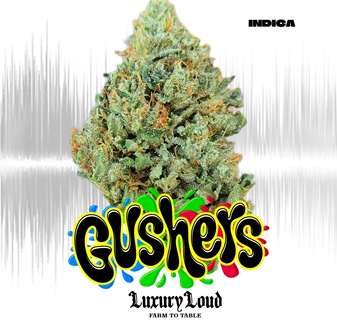 Photograph of product: Gushers 1/2 oz 2-FOR - 14g