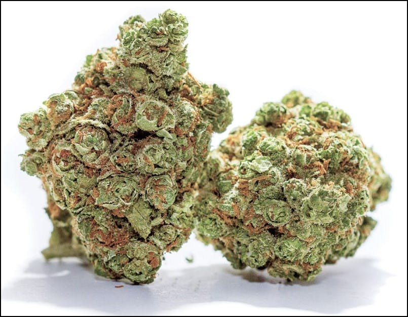 Photograph of product: Melody Genetics | Key Lime Mintz - 28g