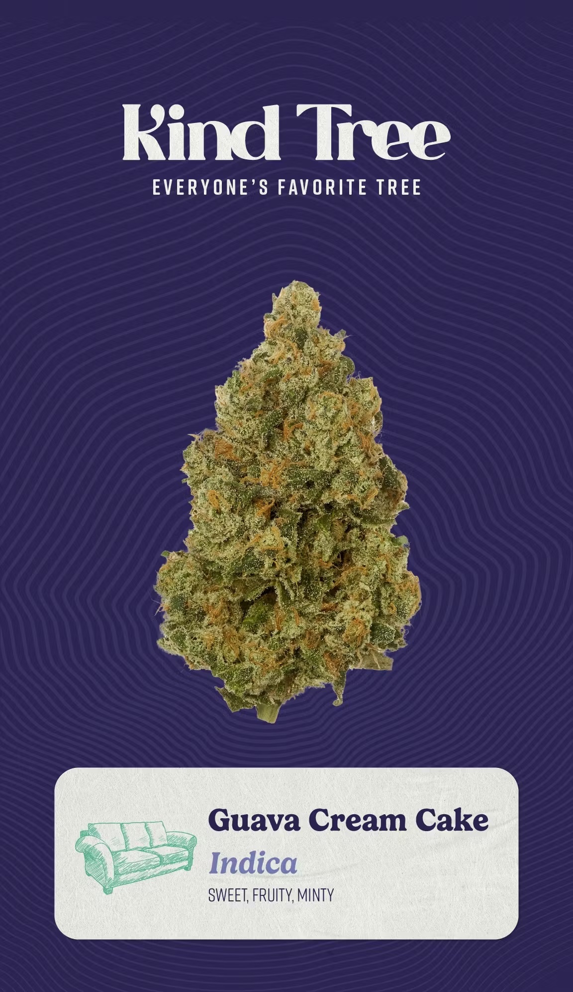 Photograph of product: Kind Tree | Guava Cream Cake | 3.5g
