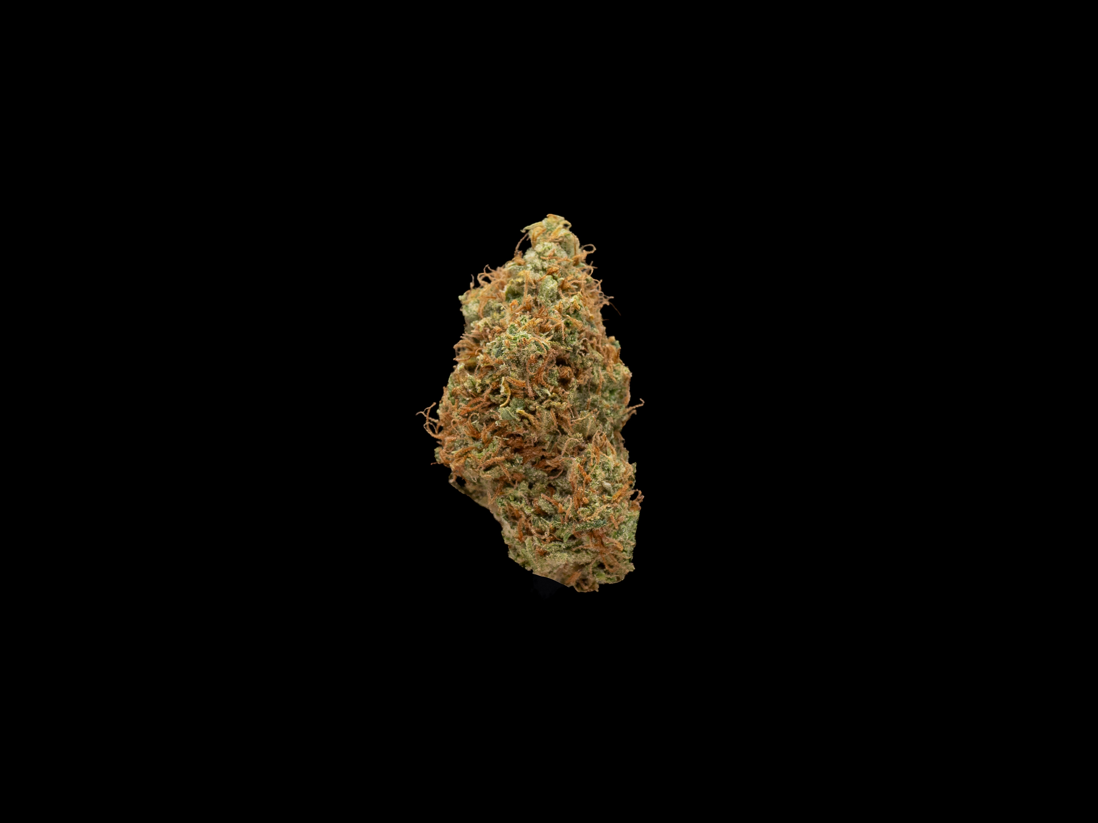Photograph of product: Golden Goat - Bulk Flower - 28g