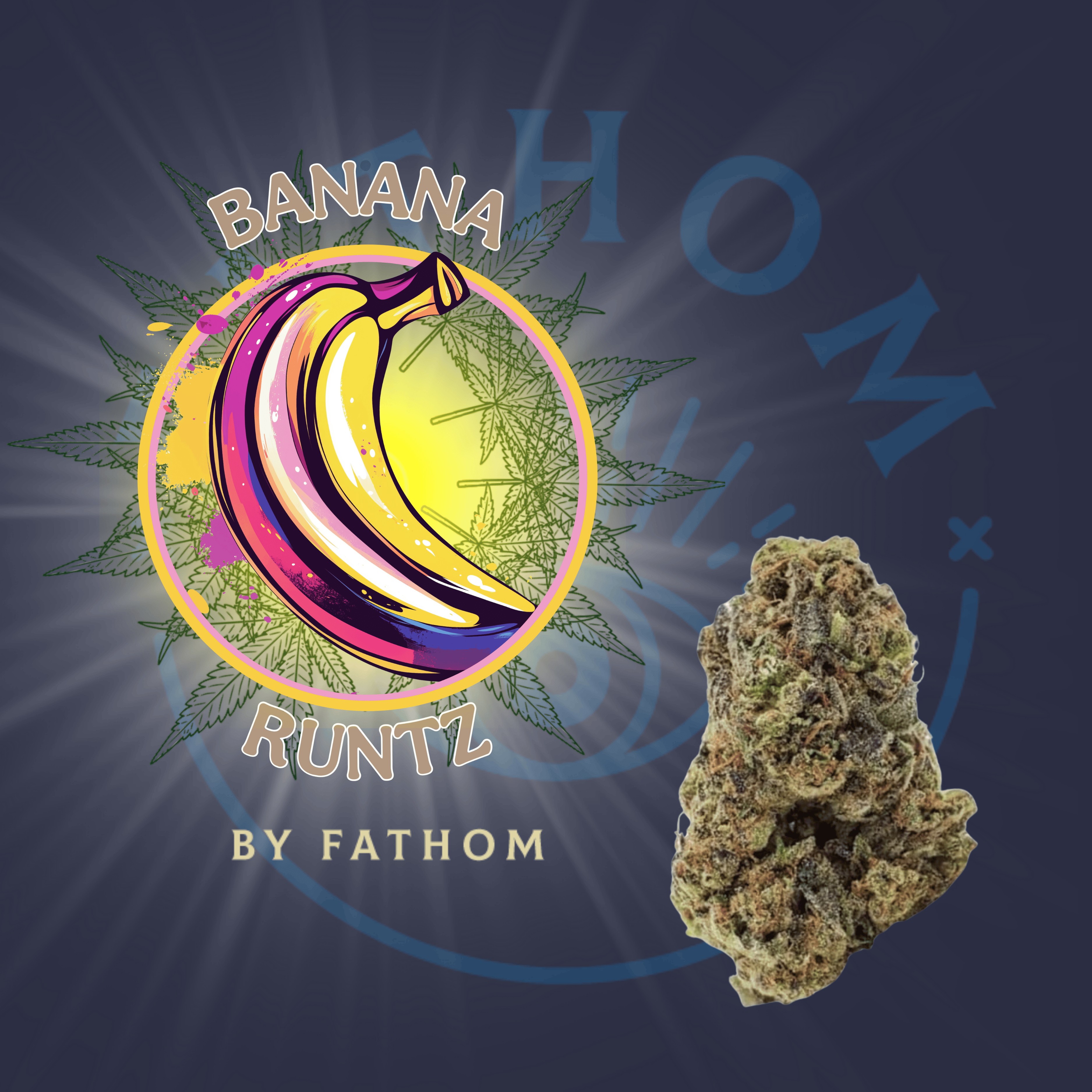 Photograph of product: Banana Runtz - 3.5g - Premium Flower