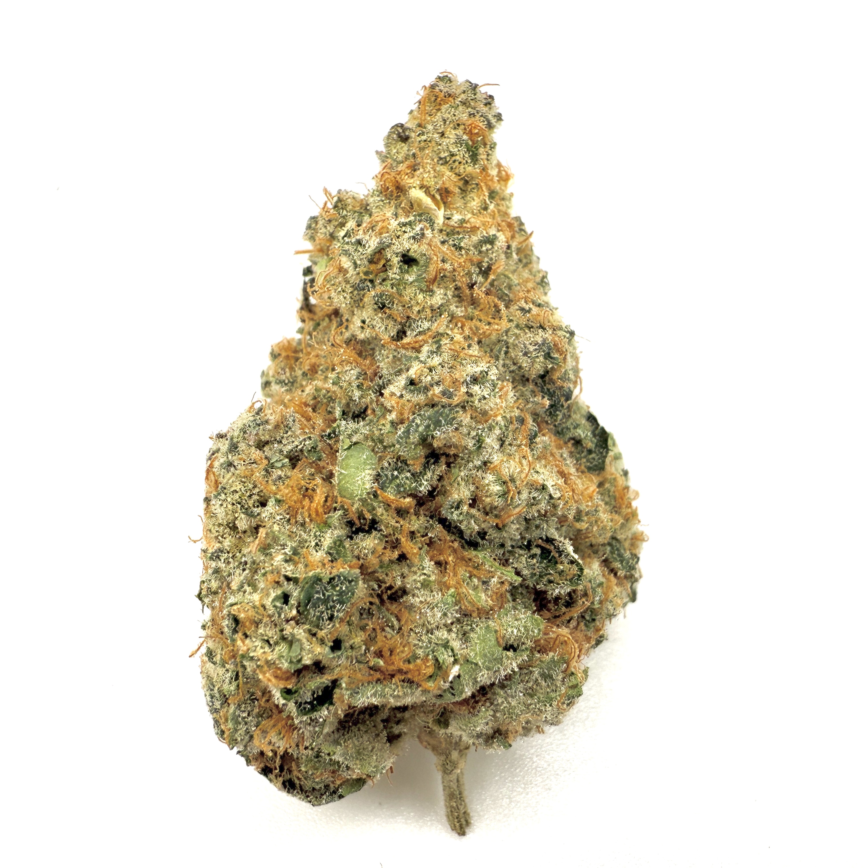 Photograph of product: Wizard Punch Discount Flower | Hybrid | Purple Co. - 28g