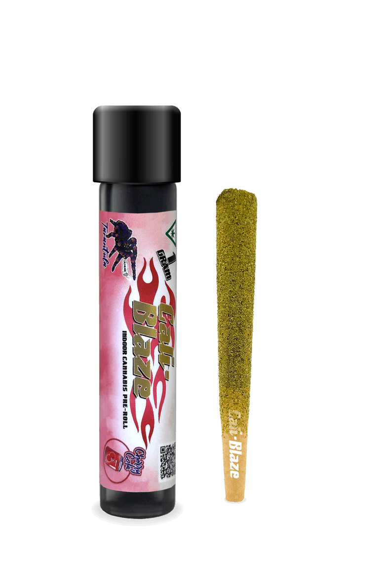 Photograph of product: Cherry Cola Infused Tarantula (H)