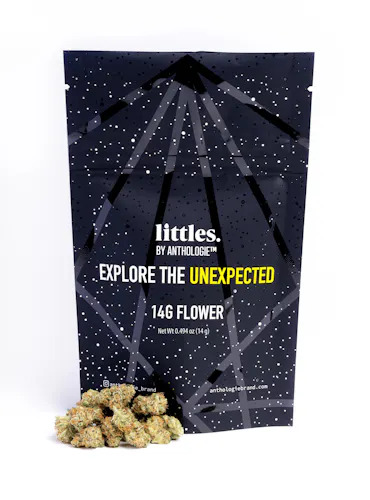 Photograph of product: Strawberry Mango Haze | Anthologie 14g Flower