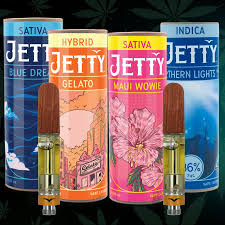 Photograph of product: PURPLE PRISM 1G CARTRIDGE