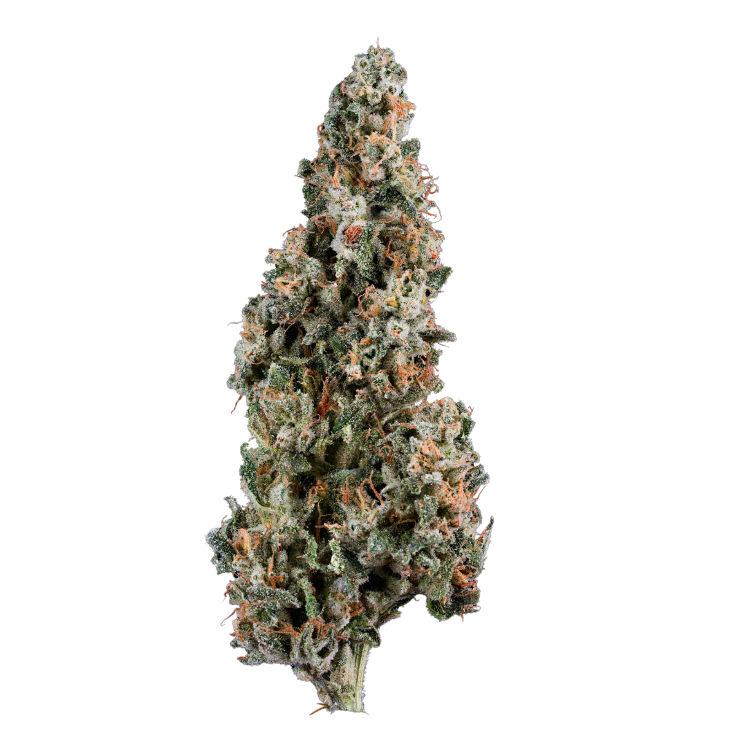 Photograph of product: Moonbeam Gelato Smalls 3.5g - Grassroots Dark Heart Collection (Pre-Pack)