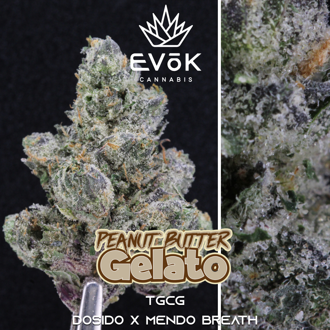 Photograph of product: Pre-pack Oui'd Trimmed Buds | Peanut Butter Gelato NBRHD - 7g