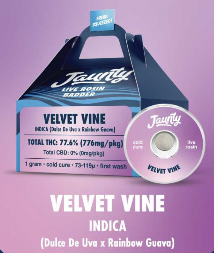 Photograph of product: Jaunty | Velvet Vine | Live Rosin Cold Cure | 1g
