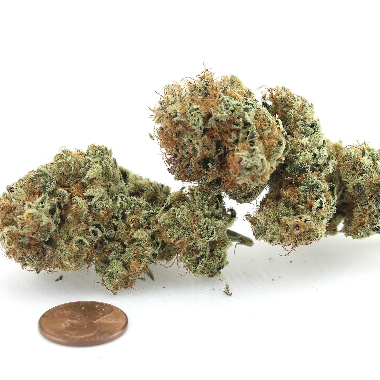 Photograph of product: Honey Banana 1g Flower 29.56% TH-oui by Aurora Blaze