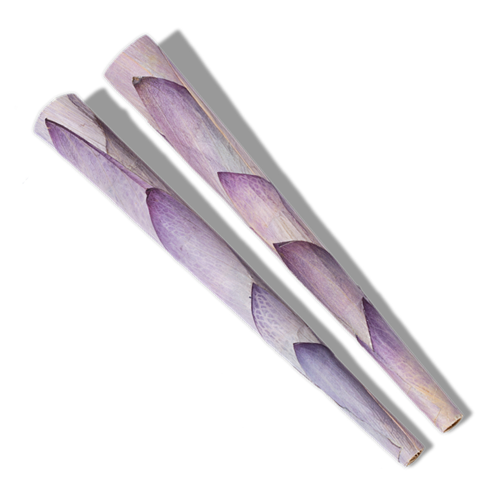 Photograph of product: Petals - 2PK Lotus Petals King Cones