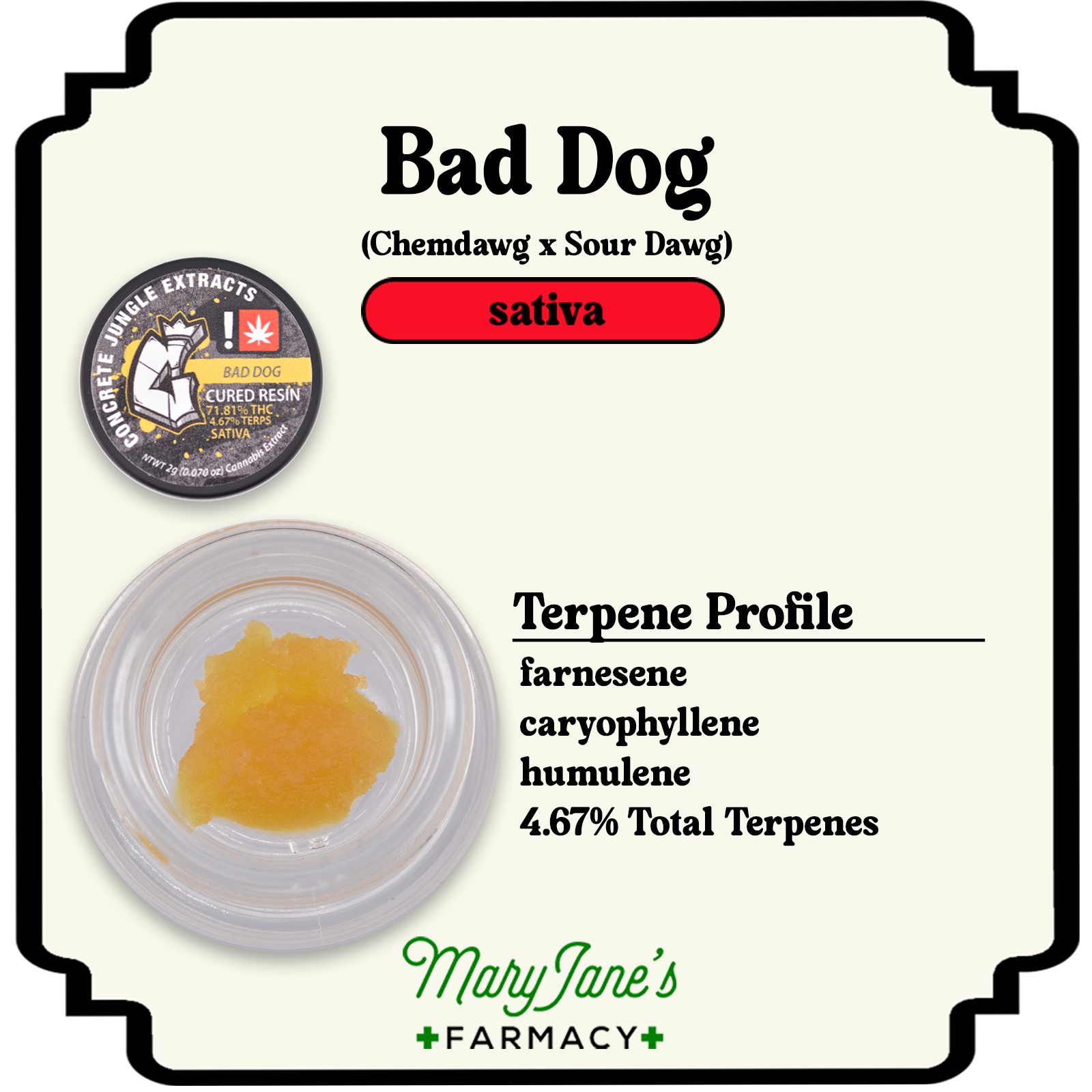 Photograph of product: Bad Dog Cured Resin Extract | 2g