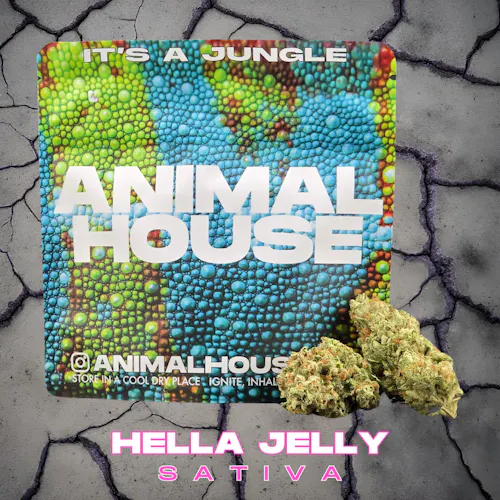 Photograph of product: Animal House Misfits - Hella Jelly - 3.5g