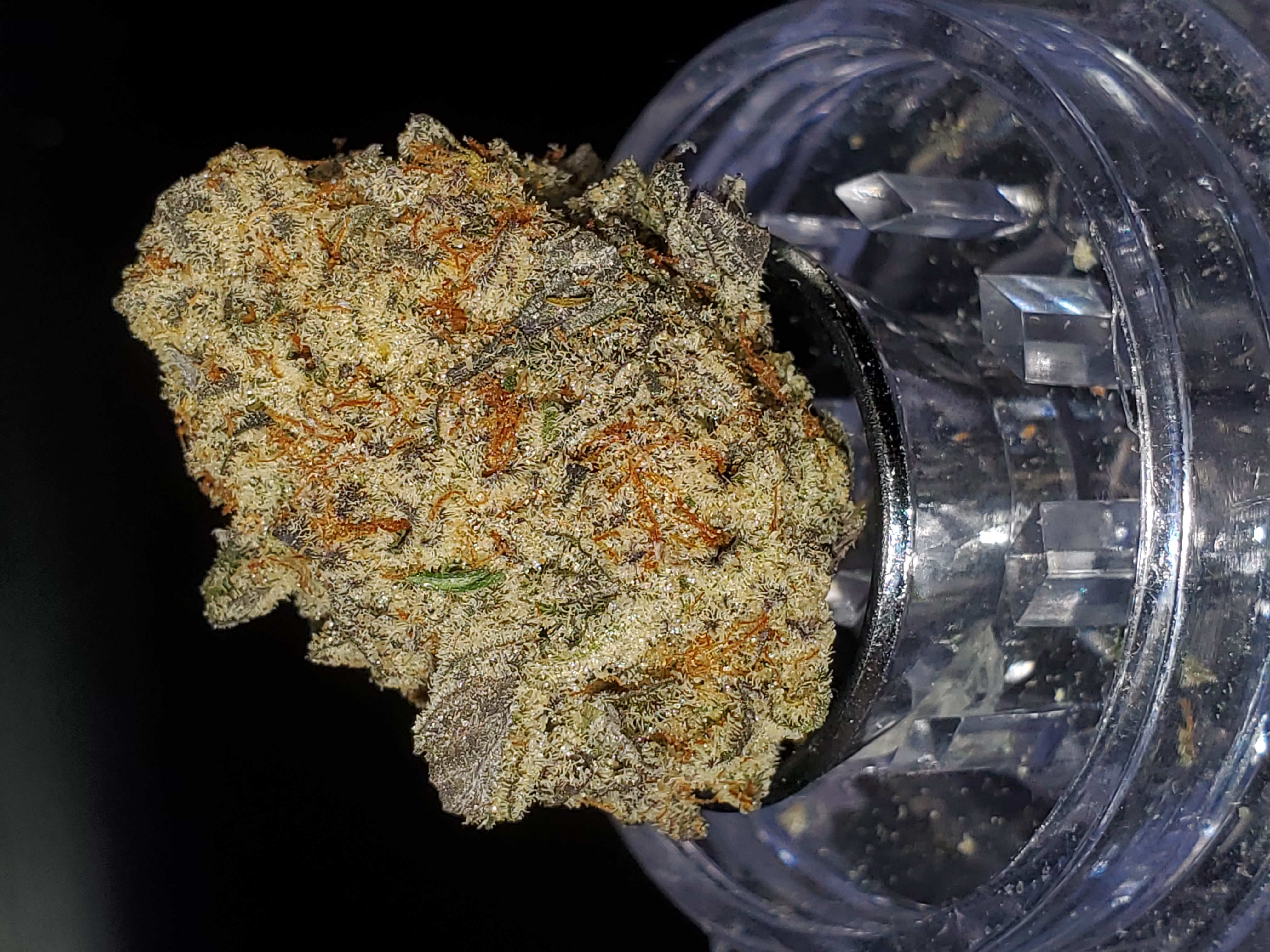 Photograph of product: Top Shelf - French Cookies (S) - 28g