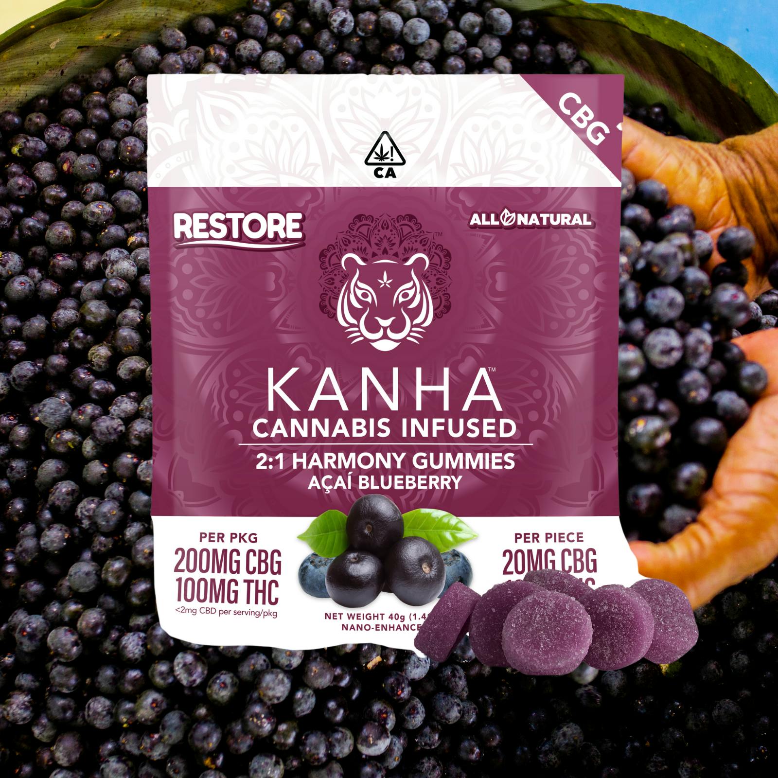 Photograph of product: 2:1 CBG:THC NANO ACAI BLUEBERRY 300MG