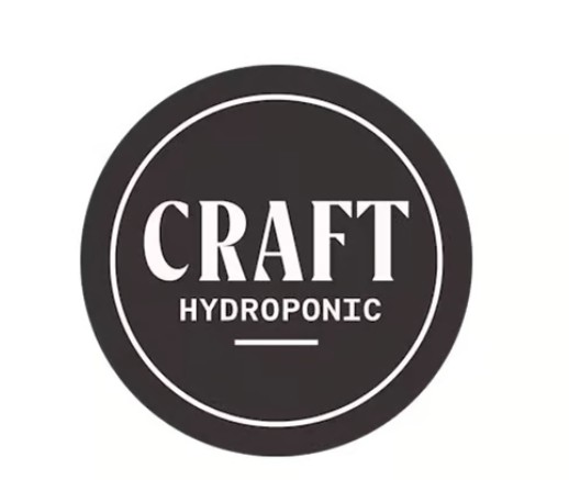 Photograph of product: CRAFT HYDROPONIC | FIRST CLASS FUNK - FULL FLOWER CANARILLO Oui'd-HYBRID