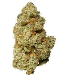 Photograph of product: Platinum Shelf - Pinot Nova (H) - 28g