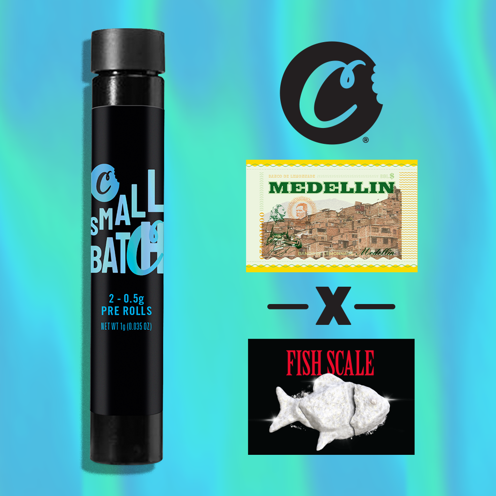 Photograph of product: Medellin x Fish Scale | 2pk