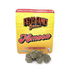 Photograph of product: MIMOSA 3.5G FLOWER