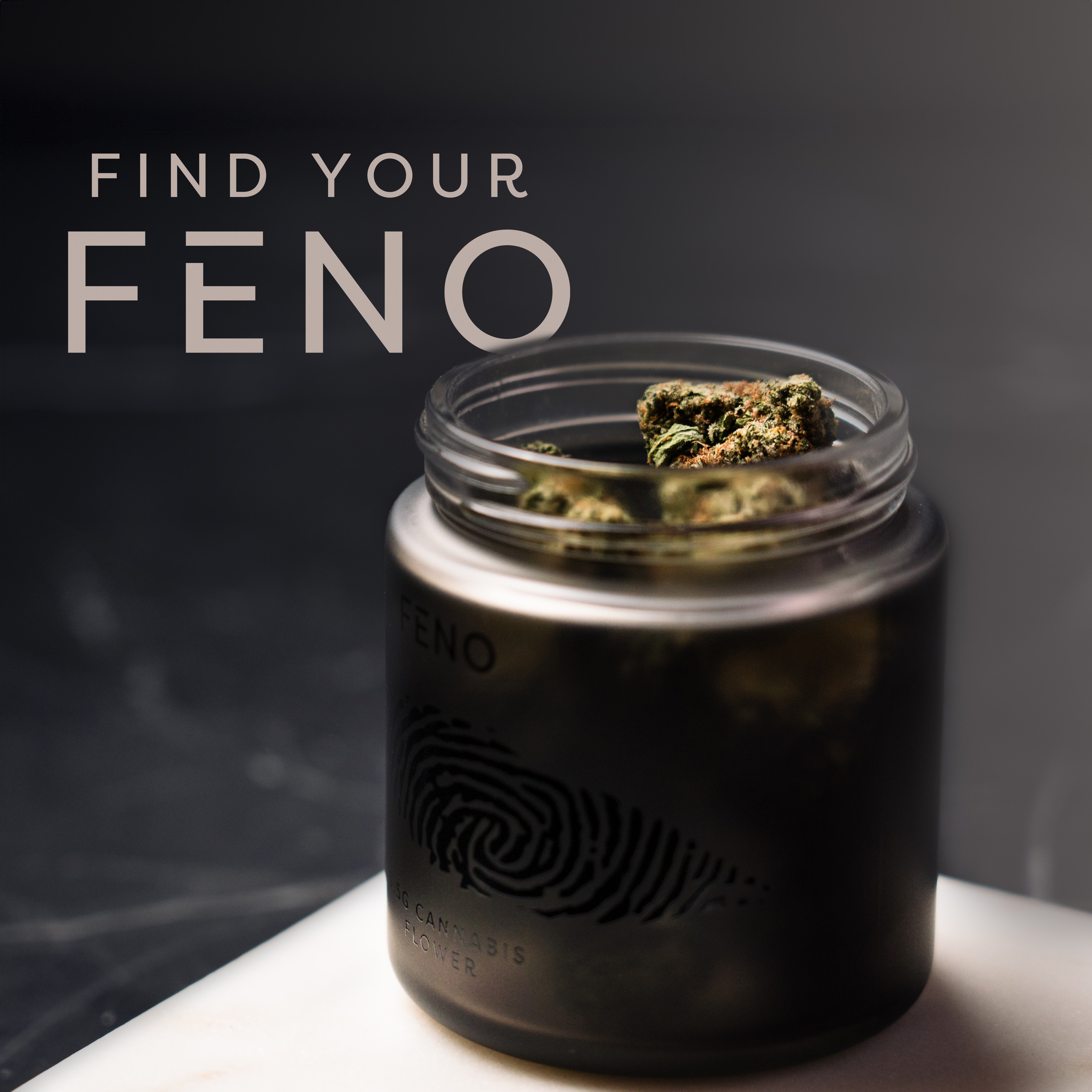 Photograph of product: Feno Big MC 5.5g