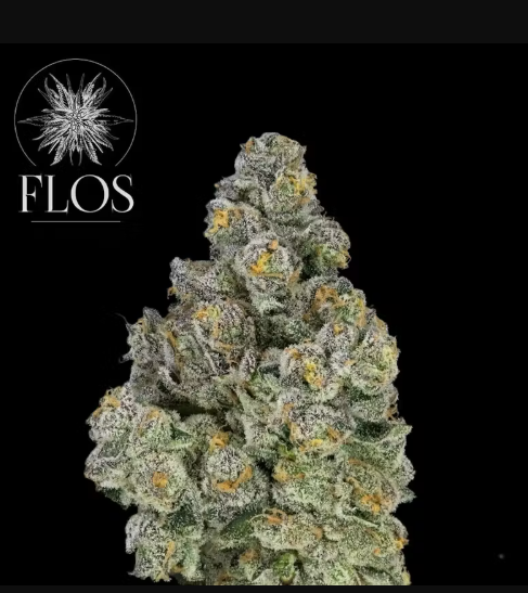 Photograph of product: SharpieZ jar by Flos - 14g