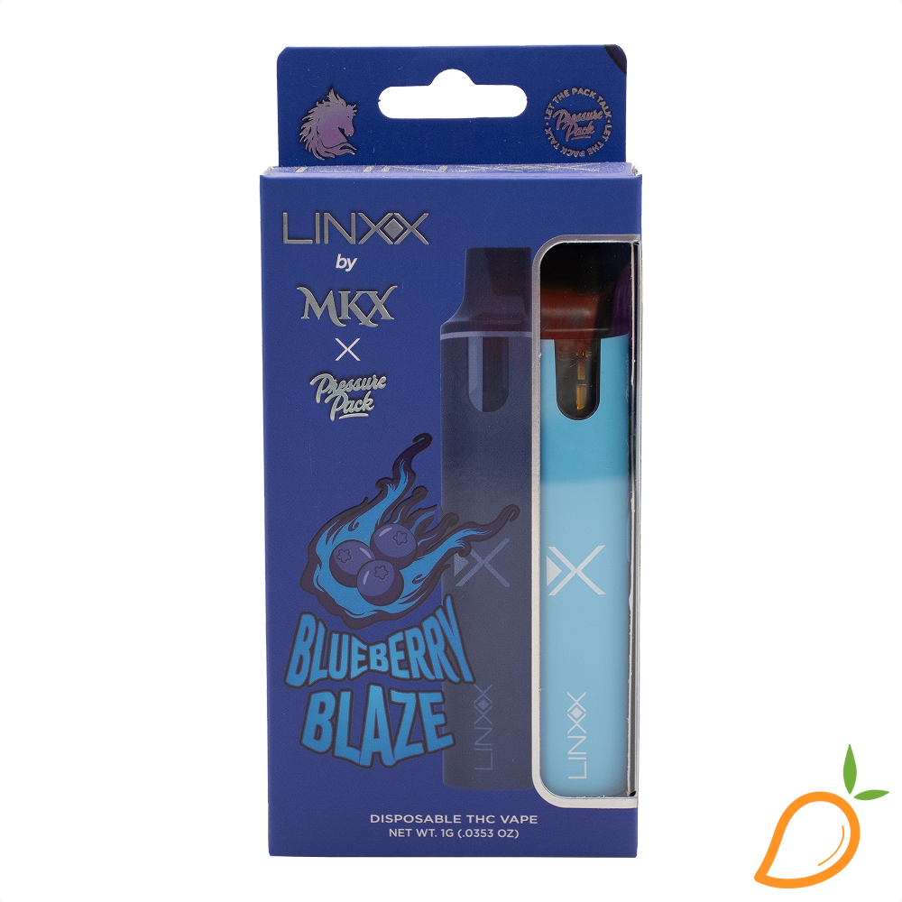Photograph of product: 1g Blueberry Blaze  Disposable Vape Linxx