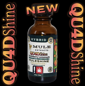 Photograph of product: Mule | Muleshine | Strawberry Lemonade 1:1:1:1 Quadshine - 250mg