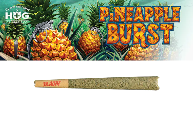 Photograph of product: HOG Pineapple Burst Pre-Roll | 1g