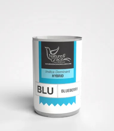 Photograph of product: NGW | Shake | Blueberry | 7g