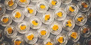 Photograph of product: Red Eye- Black Rock City BHO