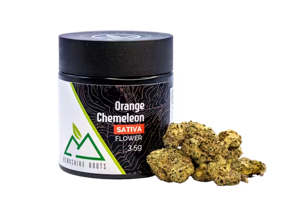 Photograph of product: Berkshire Roots | Orange Chemeleon - 3.5g