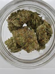 Photograph of product: Natural State Gypsy Jax 3.5g Hybrid Flower