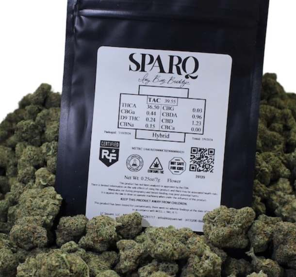 Photograph of product: Gelato 41 Shake - 14g