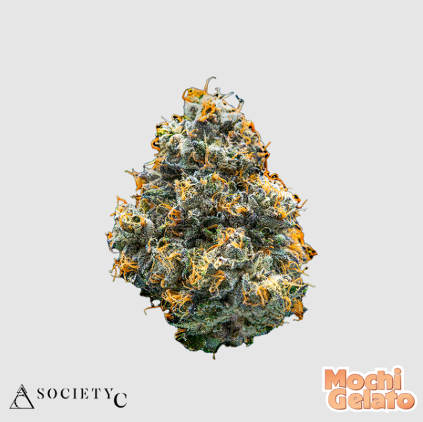 Photograph of product: Mochi Gelato | Society C - 28g