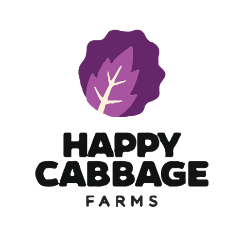 Photograph of product: Happy Cabbage - BLOX - 1:1 CBD Strawberry Serenity Gummy