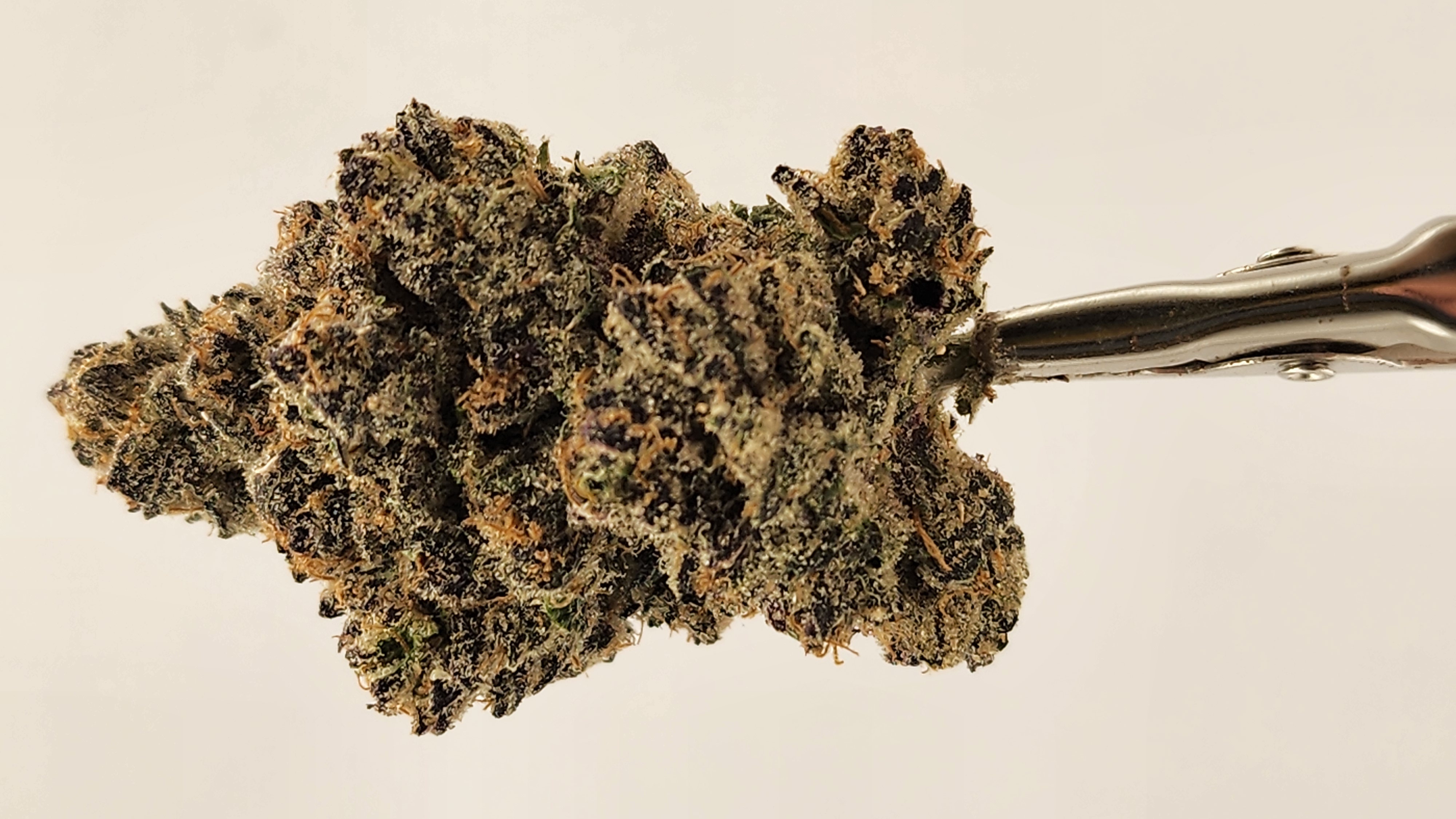 Photograph of product: SherbCake (Resin Ranchers) - 28g